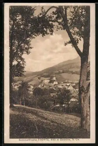 AK Ybbsitz, Totalansicht aus weiter Ferne