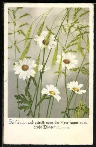 AK Gänseblumen, Sei fröhlich und getrost, denn der Herr kann auch grosse Dinge tun, Jael 2.21, Sinnspruch