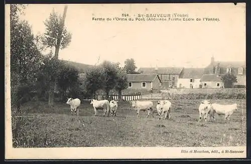 AK St-Sauveur /Yonne, Ferme de l`Orme du Pont, Ancienne Ferme École de l`Yonne