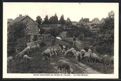AK Saint-Sauveur-en-Puisaye /Yonne, Le Petit Moulin et troupeau de moutons sur le chemin