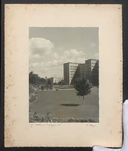 Fotografie W. Seeger, Ansicht Frankfurt a. Main, Blick auf die I.G. Farben Hochhäuser