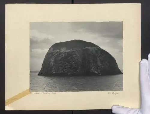 Fotografie W. Seeger, Ansicht Bass Rock, Blick auf die Felseninsel im Firth of Forth