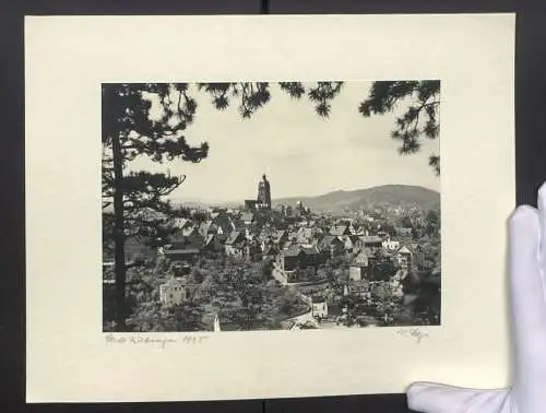 Fotografie W. Seeger, Ansicht Bad Wildungen, Blick auf die Stadt vom Wald aus gesehen, 1935