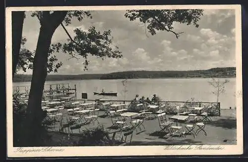 AK Stendenitz, Gasthaus Waldschenke Stendenitz, Blick zum See