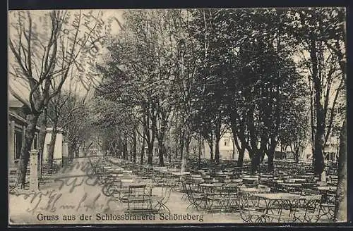 AK Schöneberg, Gasthaus Schlossbrauerei, Blick in den Biergarten
