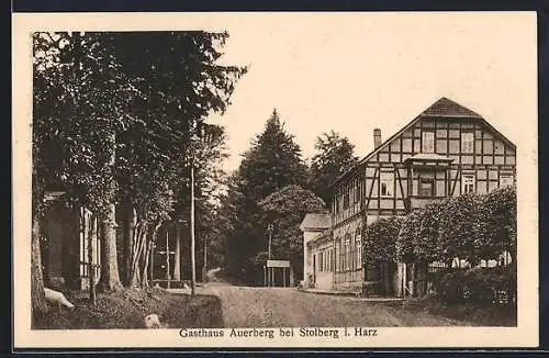 AK Stolberg i. Harz, Gasthaus Auerberg