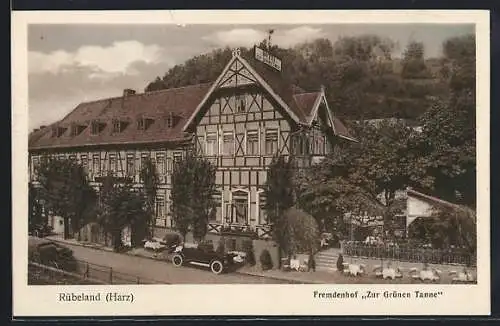 AK Rübeland /Harz, Gasthof Zur Grünen Tanne