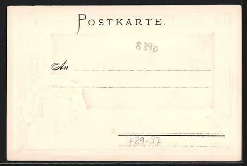 Passepartout-Lithographie Passau, Stadtansicht mit Wappen