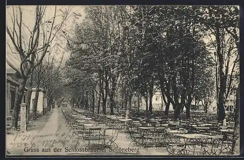 AK Schöneberg, Restaurant Schlossbrauerei, Biergarten