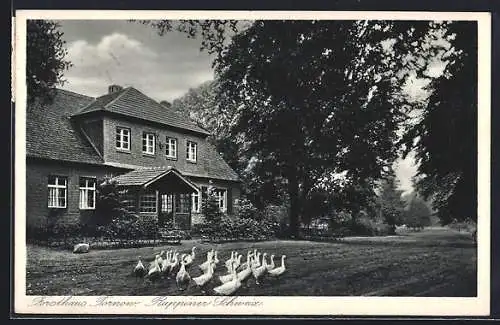 AK Tornow /Ruppiner Schweiz, Forsthaus Tornow, Inh. E. Jandt, Gänse auf der Wiese