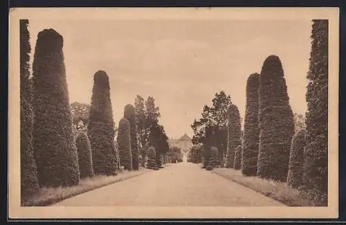 AK Moritzburg / Sachsen, Gartenanlage des Jagdschlosses