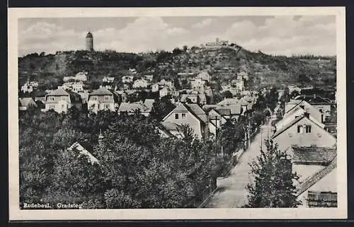 AK Radebeul, Gradsteg, Blick über die Dächer