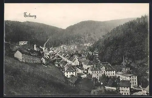 AK Triberg, Ortsansicht im Tal
