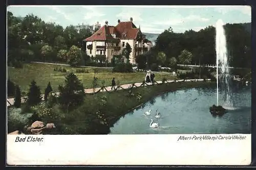 AK Bad Elster, Albert-Park-Villa mit Carola-Weiher, Schwäne