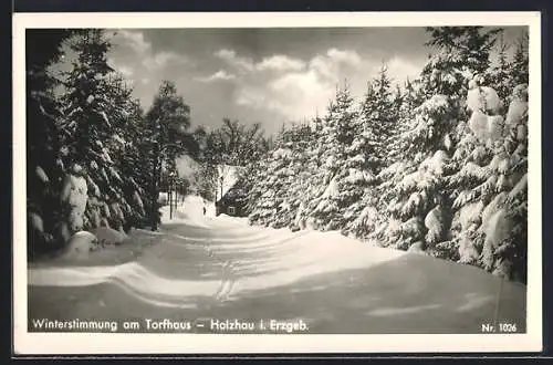 AK Holzhau i. Erzgeb., Winterstimmung am Torfhaus