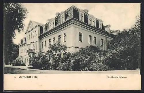 AK Arnstadt, Fürstl Schloss, Totalansicht
