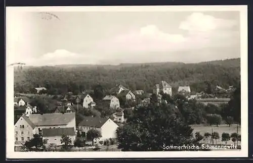 AK Schmannewitz, Ortsansicht über die Dächer