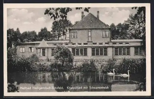AK Heiligenstadt-Eichsfeld, Kneippbad mit Schwanenteich