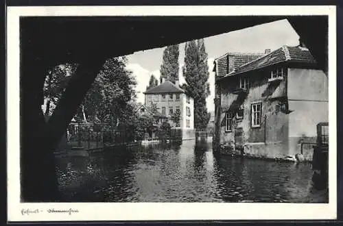 AK Erfurt, Partie am Dämmchen