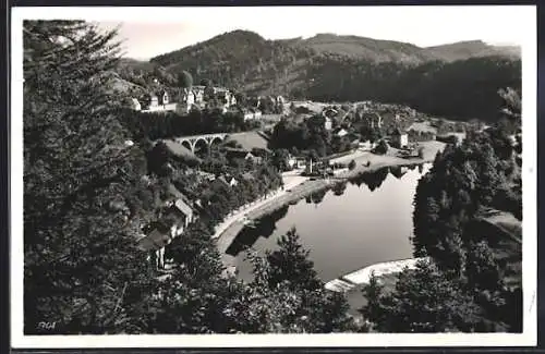 AK Ziegenrück / Saale, Panorama
