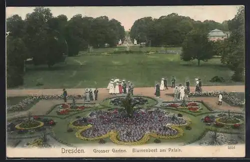 AK Dresden, Grosser Garten, Blumenbeet am Palais