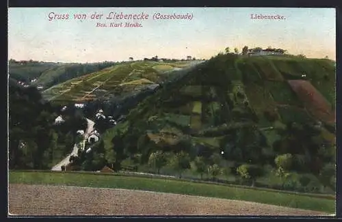 AK Cossebaude, Panorama mit Gasthaus Liebenecke
