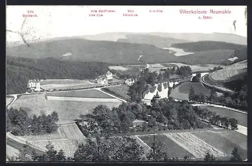 AK Neumühle / Elster, Villenkolonie mit Villa Waldfrieden, Villa Else und Villa Elsterblick