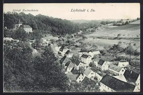 AK Liebstadt i. Sa., Teilansicht mit Schloss Kuckuckstein