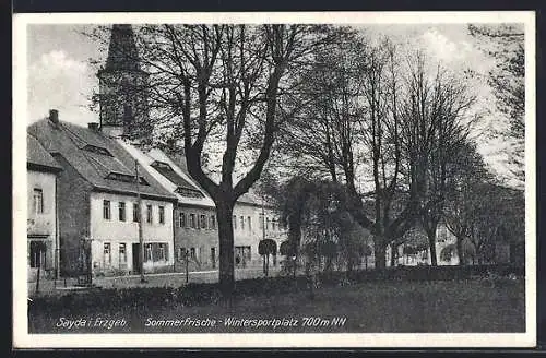 AK Sayda i. Erzgeb., Strassenpartie mit Bäumen