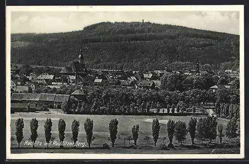 AK Rochlitz, Ortspartie am Rochlitzer Berg