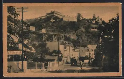 AK Dresden-Weisser Hirsch, Strassenpartie mit Passanten
