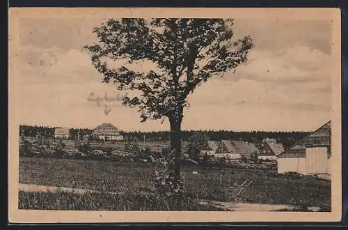 AK Altenberg im Erzgebirge, Ortspartie mit Baum
