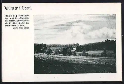 AK Gunzen i. Vogtland, Vogtlandgruss mit Gedicht und freiem Feld