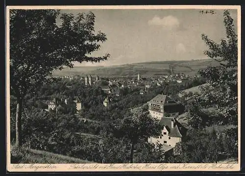 AK Bad Mergentheim, Totalansicht mit Haus Hubertus, Haus Olga und Kuranstalt Hohenlohe