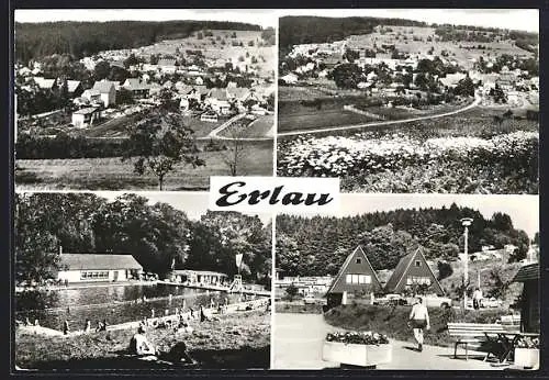 AK Erlau / Schleusingen, Campingplatz, Freibad, Ortsansichten