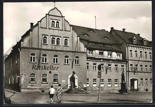 AK Pulsnitz, Rathaus und Gasthaus Ratskeller, Panorama