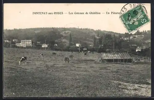 AK Fontenay-aux-Roses, Les Coteaux de Châtillon, Un Pâturage