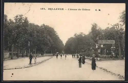 AK Bellevue, L`Avenue du Château