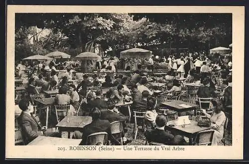 AK Robinson /Seine, Une Terrasse du Vrai Arbre