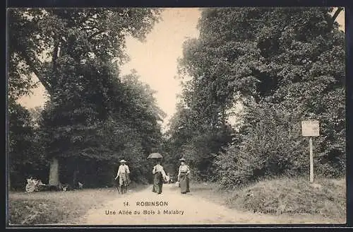 AK Robinson, Une Allée du Bois à Malabry