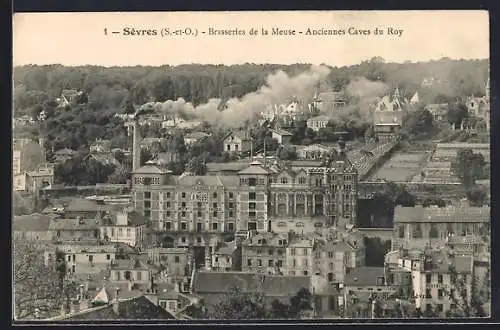 AK Sèvres /S.-et-O., Brasseries de la Meuse, Anciennes Caves du Roy