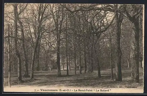 AK Vaucresson /S.-et-O., Le Rond-Point Le Butard