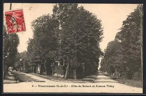 AK Vaucresson /S.-et-O., Allée du Butard et Avenue Théry