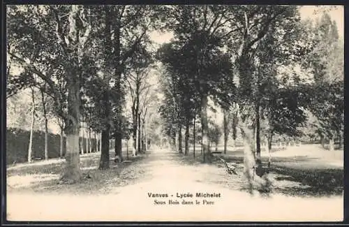 AK Vanves, Lycée Michelet, Sous Bois dans le Parc