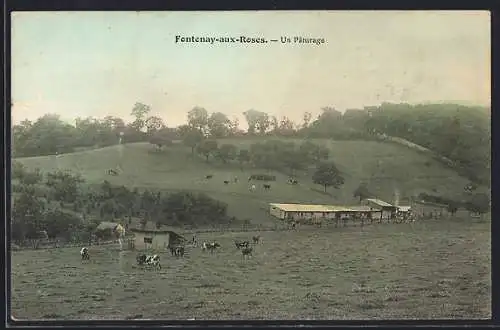 AK Fontenay-aux-Roses, Un pâturage avec des vaches dans un paysage vallonné