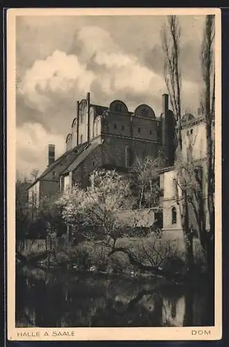 AK Halle a. Saale, Uferpartie mit Dom