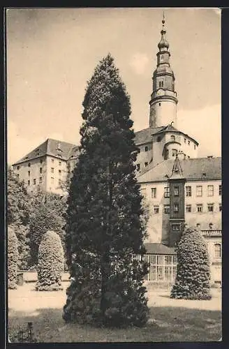 AK Müglitztal, Schloss Weesenstein
