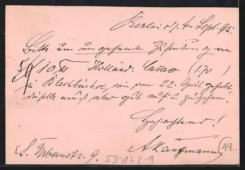 Vorläufer-AK Berlin, 1895, Packetfahrtkarte, Ganzsache der Privaten Stadtpost