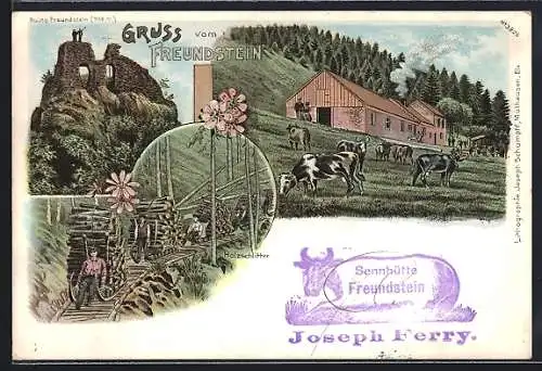 Lithographie Weiler /Kr. Thann, Holzschlitter und Ruine Freundstein