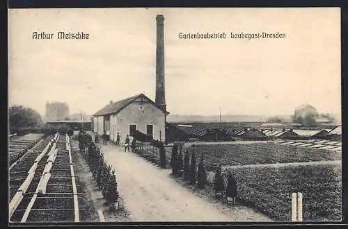 AK Dresden-Laubegast, Gartenbaubetrieb von Arthur Meischke